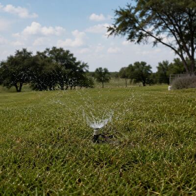 A spray head distributing water on a lawn, the style an aerobic septic system uses
