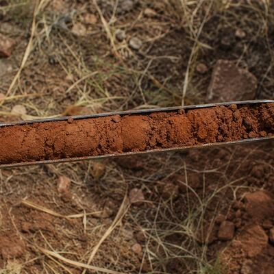 A soil boring core sample showing Taylor County's clay-heavy soil