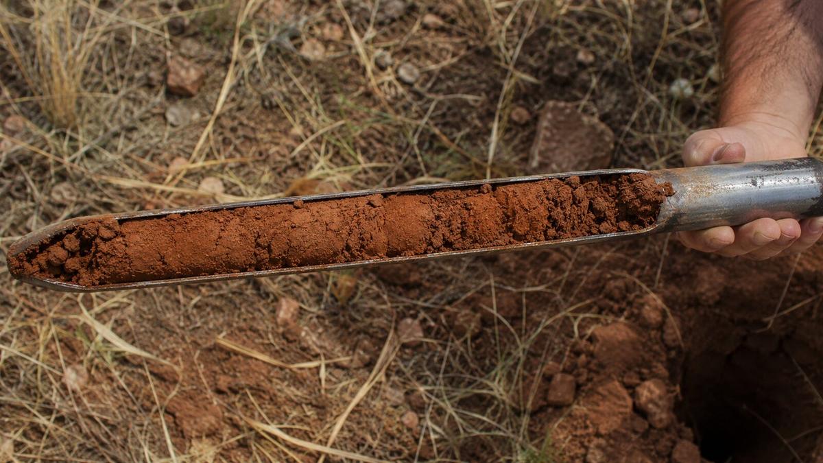 A soil boring core sample showing the clay-heavy soil common across Taylor County